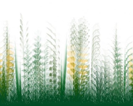 What is plant blindness? Plants play an important role in the biosphere.